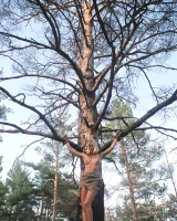 Erotic Beauty - 02-mandy-bound-003